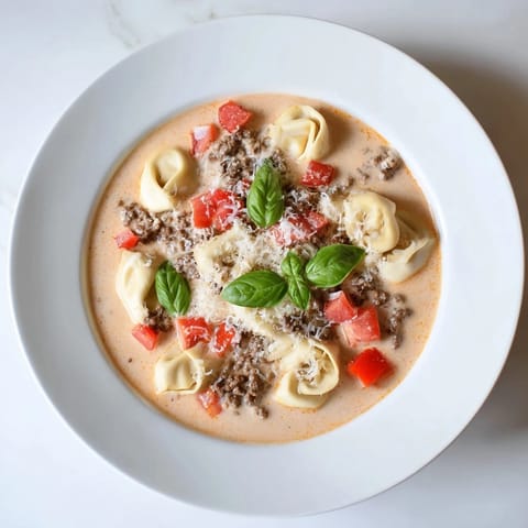 Tortellini Beef Soup #60